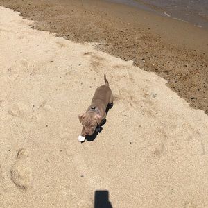 Meet your Posher, Delani